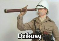 komentarz obrazkowy