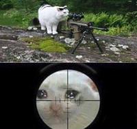 komentarz obrazkowy