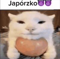 komentarz obrazkowy