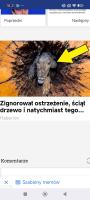komentarz obrazkowy