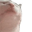 komentarz obrazkowy