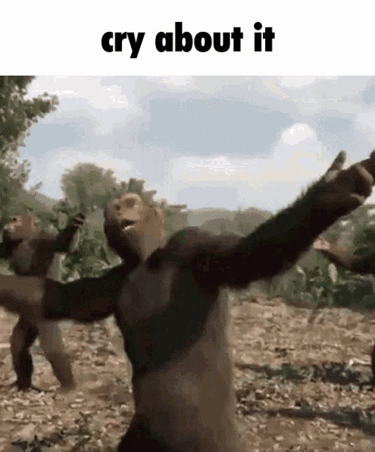 komentarz obrazkowy