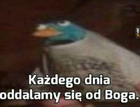 komentarz obrazkowy