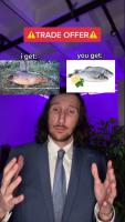 komentarz obrazkowy