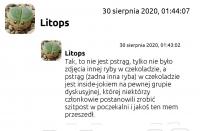 komentarz obrazkowy