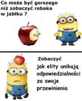 komentarz obrazkowy