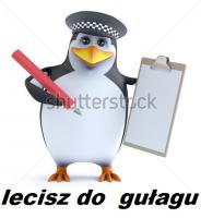komentarz obrazkowy