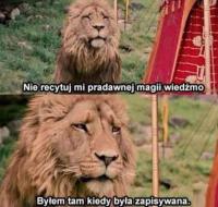 komentarz obrazkowy