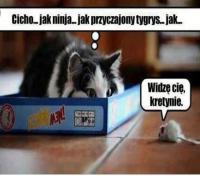 komentarz obrazkowy
