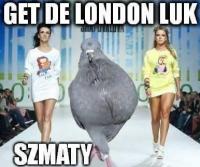 komentarz obrazkowy