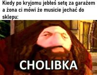 komentarz obrazkowy