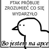 komentarz obrazkowy