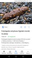 komentarz obrazkowy