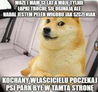 komentarz obrazkowy