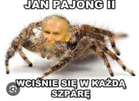 komentarz obrazkowy