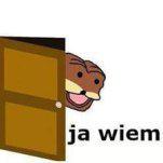 komentarz obrazkowy