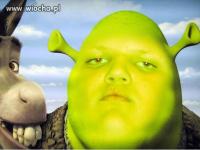 komentarz obrazkowy