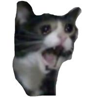 komentarz obrazkowy