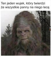 komentarz obrazkowy