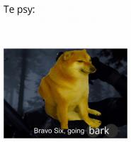 komentarz obrazkowy