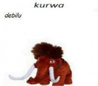komentarz obrazkowy