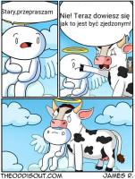 komentarz obrazkowy