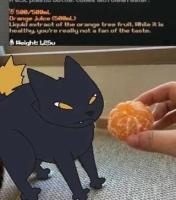 komentarz obrazkowy