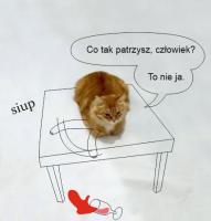 komentarz obrazkowy
