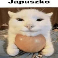 komentarz obrazkowy