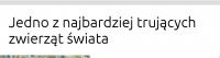 komentarz obrazkowy