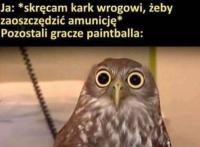 komentarz obrazkowy
