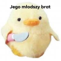 komentarz obrazkowy