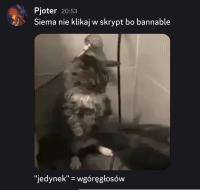 komentarz obrazkowy