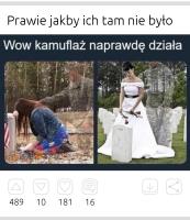 komentarz obrazkowy