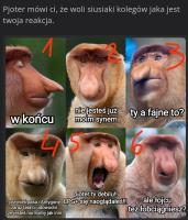 komentarz obrazkowy