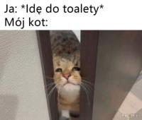 komentarz obrazkowy
