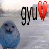 komentarz obrazkowy