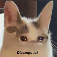 komentarz obrazkowy