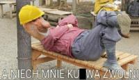 komentarz obrazkowy