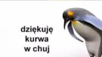 komentarz obrazkowy
