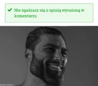 komentarz obrazkowy