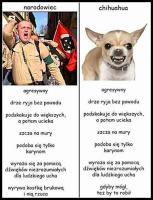 komentarz obrazkowy