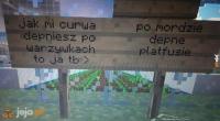 komentarz obrazkowy
