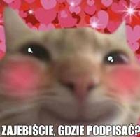 komentarz obrazkowy