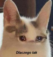 komentarz obrazkowy