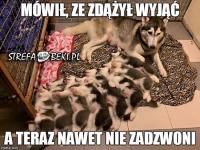 komentarz obrazkowy
