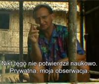 komentarz obrazkowy