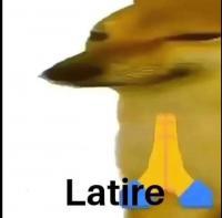 komentarz obrazkowy