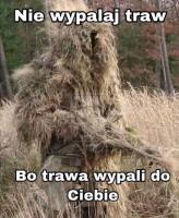 komentarz obrazkowy