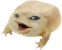 komentarz obrazkowy